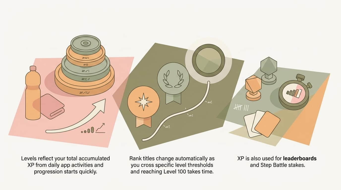 Illustration for What are levels and rank titles?